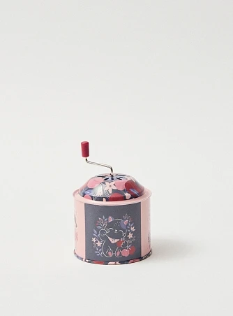 Παιδικό Μουσικό Κουτί για Κορίτσια