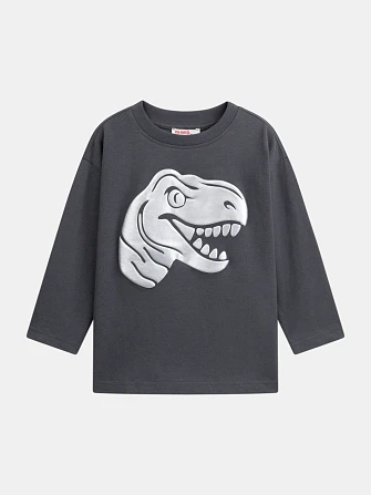 Παιδική Μπλούζα για Αγόρια Grey Dinosaur