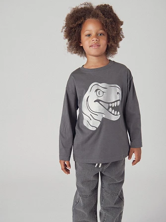 Παιδική Μπλούζα για Αγόρια Grey Dinosaur