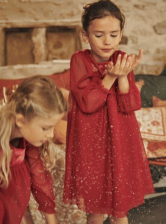 Παιδικό Φόρεμα για Κορίτσια Red Velvet Tulle