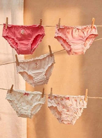 Παιδικά Εσώρουχα για Κορίτσια Pink Fairy 5 τμχ