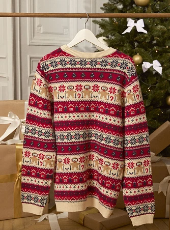 Ανδρικό Πουλόβερ Christmas Spirit