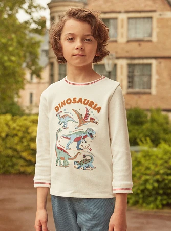 Παιδική Μπλούζα για Αγόρια White Dinosauria