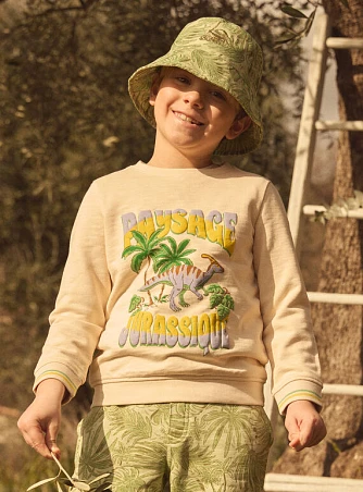 Παιδικό Φούτερ για Αγόρια Paysage Jurassique