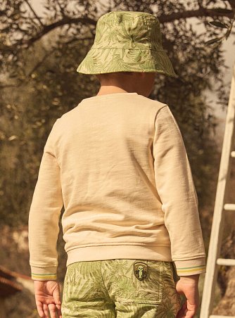 Παιδικό Φούτερ για Αγόρια Paysage Jurassique