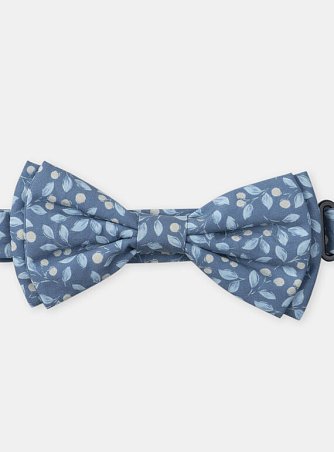 Παιδικό Παπιγιόν για Αγόρια Blue Spring