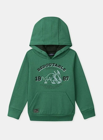 Παιδικό Φούτερ για Αγόρια Green Redoutable