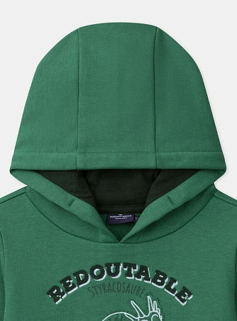 Παιδικό Φούτερ για Αγόρια Green Redoutable