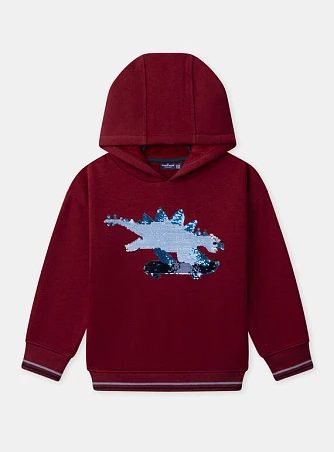 Παιδικό Φούτερ για Αγόρια Red Skater