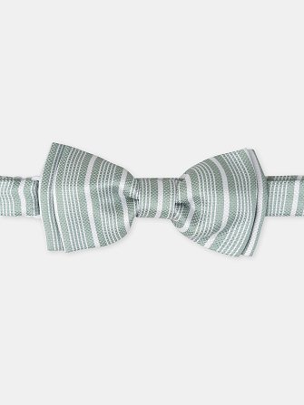 Παιδικό Παπιγιόν για Αγόρια Green Stripes