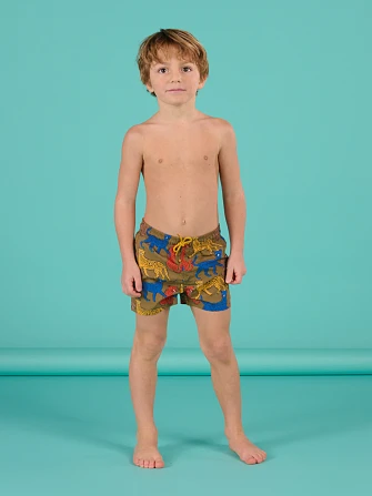 Παιδικό Μαγιό για Αγόρια Brown Leopards