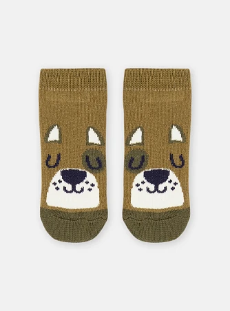 Βρεφικές Κάλτσες για Αγόρια Khaki Bear
