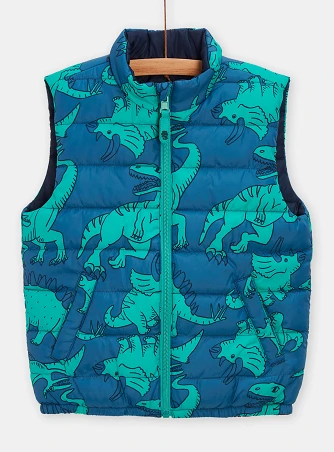 Παιδικό Αμάνικο Μπουφάν για Αγόρια Blue Green Dino