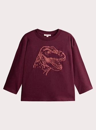 Παιδική Μπλούζα για Αγόρια Burgundy Dino