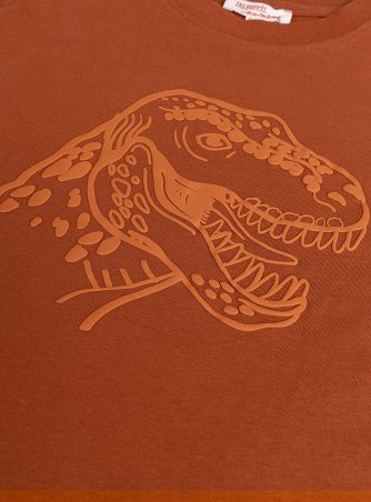 Παιδική Μπλούζα για Αγόρια Orange Dino