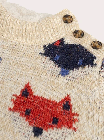 Παιδικό Πουλόβερ για Αγόρια Multi Foxes
