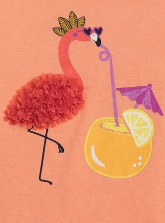 Παιδική Μπλούζα για Κορίτσια Orange Flamingo