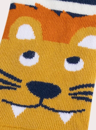 Παιδικές Κάλτσες για Αγόρια Stripped Lion