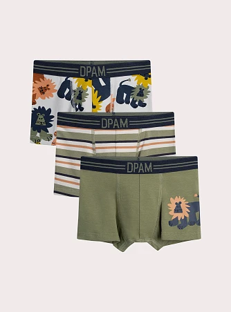 Σετ Παιδικά Εσώρουχα για Αγόρια Lion Print 3 τμχ