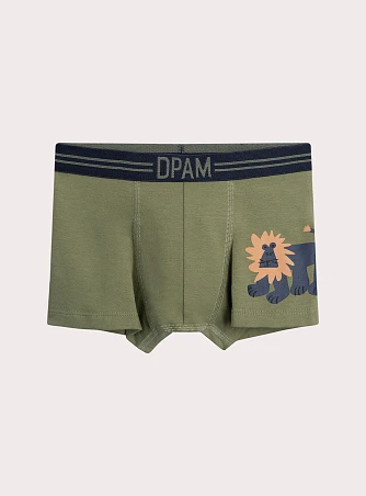 Σετ Παιδικά Εσώρουχα για Αγόρια Lion Print 3 τμχ