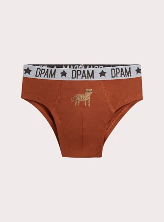 Σετ Παιδικά Εσώρουχα για Αγόρια Cool Leopards 3 τμχ