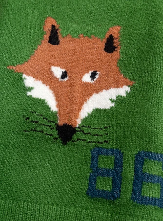 Παιδικό Πουλόβερ για Αγόρια Green Fox