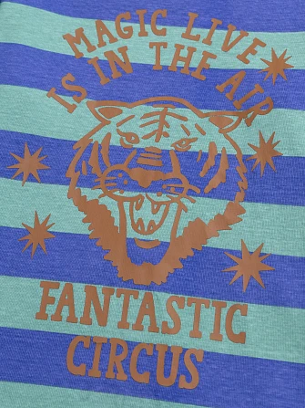 Παιδική Μπλούζα για Αγόρια Stripped Tiger