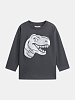 Παιδική Μπλούζα για Αγόρια Grey Dinosaur