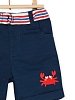 Βρεφικό Σορτς για Αγόρια Navy Crab