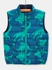 Παιδικό Αμάνικο Μπουφάν για Αγόρια Blue Green Dino