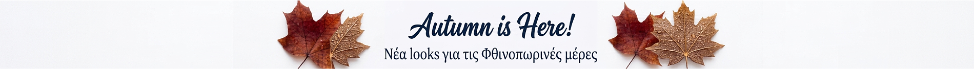 New Autumn-Winter Collection